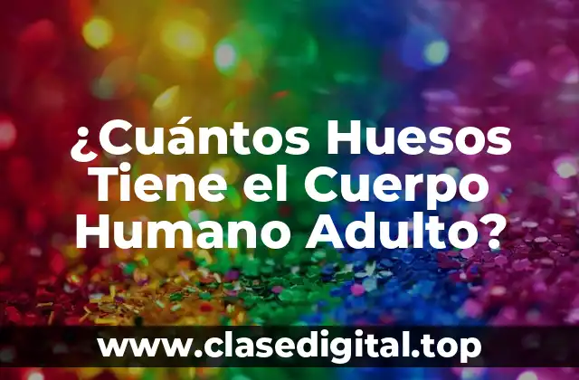¿Cuántos Huesos Tiene el Cuerpo Humano Adulto?