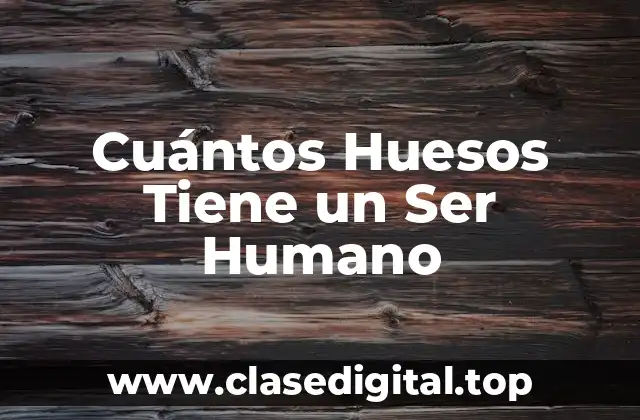 La Formación de los Huesos en el Cuerpo Humano
