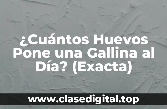 ¿Cuántos Huevos Pone una Gallina al Día? (Exacta)