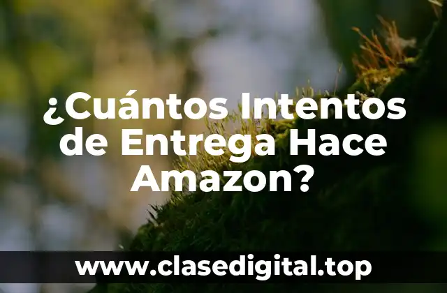 ¿Cuántos Intentos de Entrega Hace Amazon?