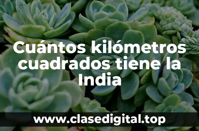 Cuántos kilómetros cuadrados tiene la India