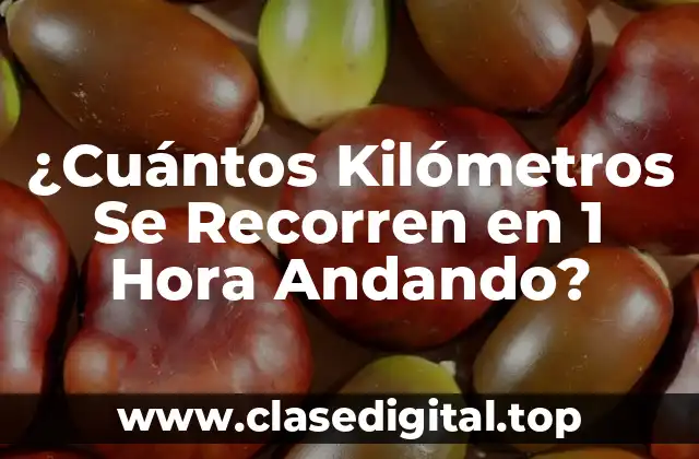 ¿Cuántos Kilómetros Se Recorren en 1 Hora Andando?