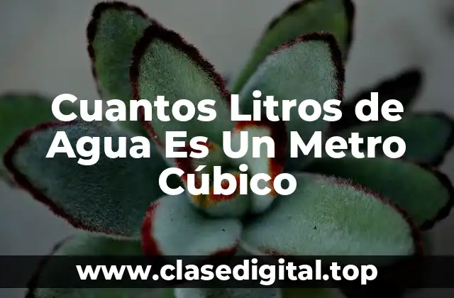 Cuantos Litros de Agua Es Un Metro Cúbico
