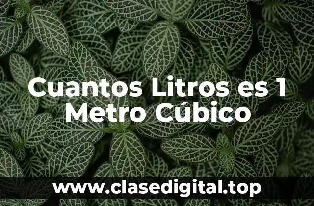 Cuantos Litros es 1 Metro Cúbico