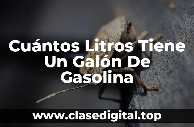 Cuántos Litros Tiene Un Galón De Gasolina
