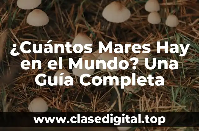 Definición y Tipos de Mares