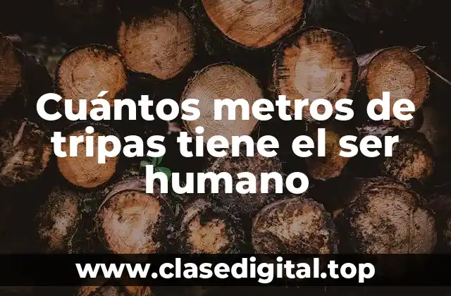 Cuántos metros de tripas tiene el ser humano