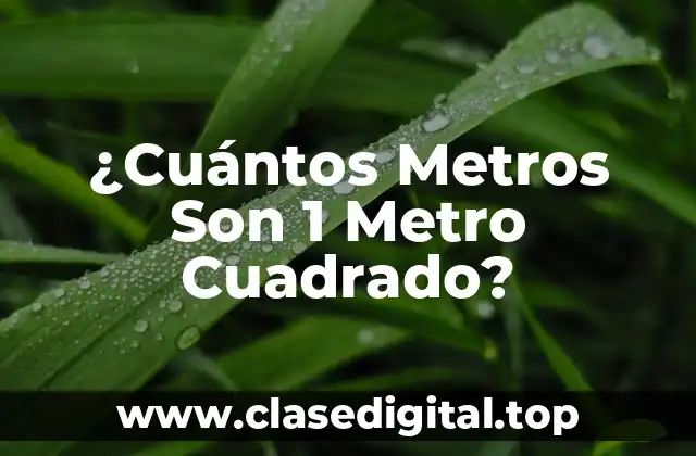 ¿Cuántos Metros Son 1 Metro Cuadrado?