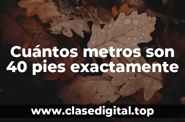 Cuántos metros son 40 pies exactamente
