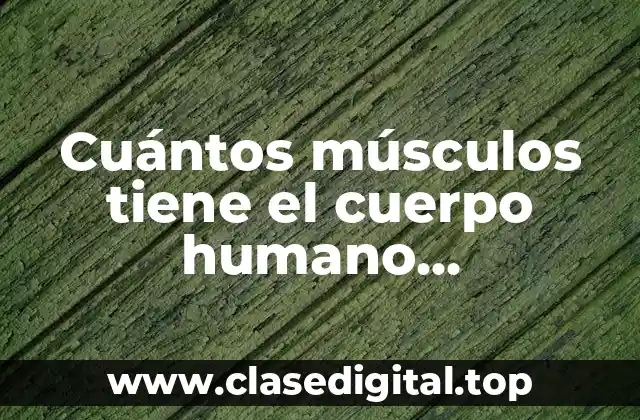 Cuántos músculos tiene el cuerpo humano exactamente?