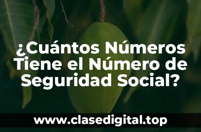 ¿Cuántos Números Tiene el Número de Seguridad Social?