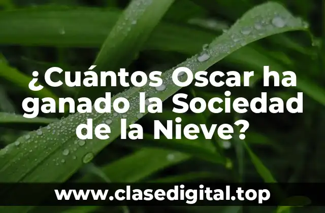 La Sociedad de la Nieve y su Impacto en la Industria Cinematográfica