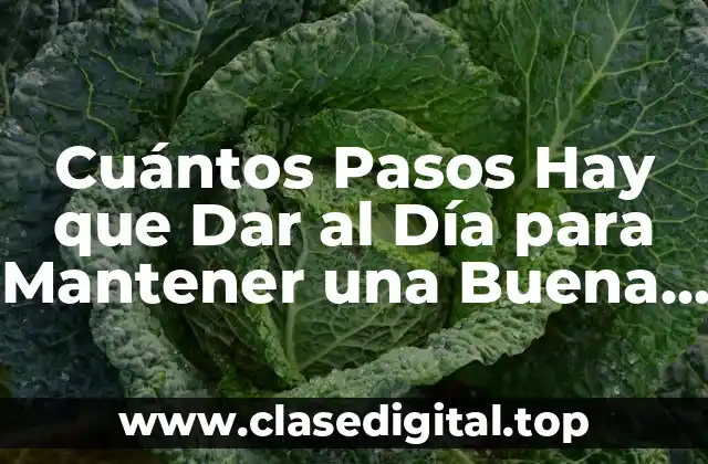 Cuántos Pasos Hay que Dar al Día para Mantener una Buena Salud