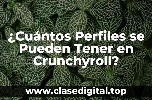 ¿Cuántos Perfiles se Pueden Tener en Crunchyroll?