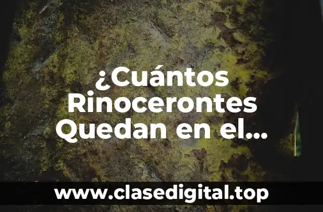 ¿Cuántos Rinocerontes Quedan en el Mundo?