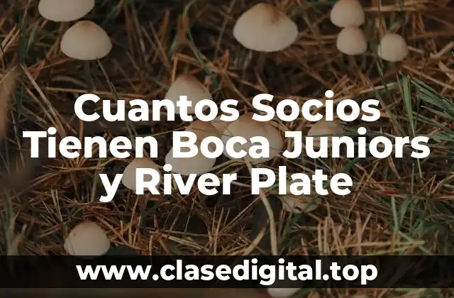 Cuantos Socios Tienen Boca Juniors y River Plate