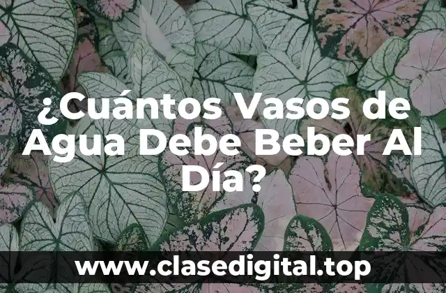 ¿Cuántos Vasos de Agua Debe Beber Al Día?