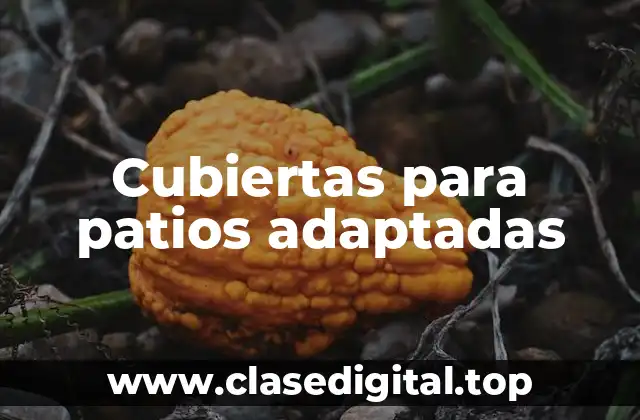 Cubiertas para patios adaptadas