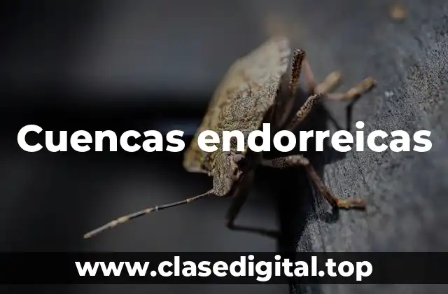 Cuencas endorreicas