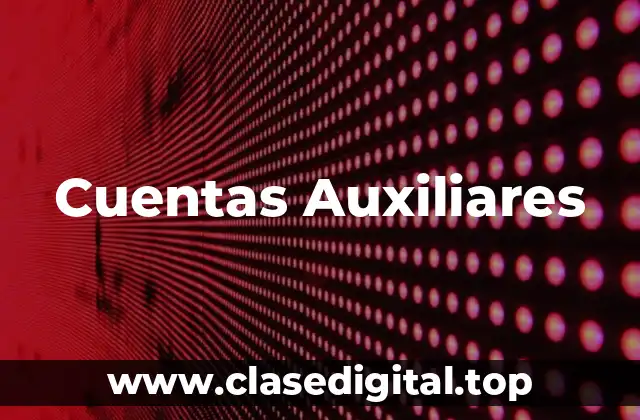Cuentas Auxiliares