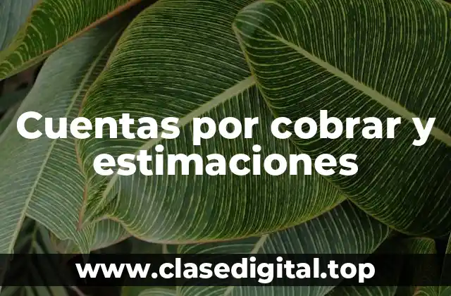 Cuentas por cobrar y estimaciones