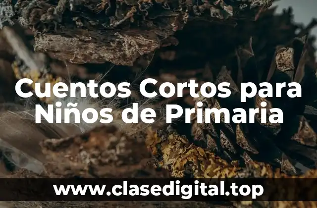 Cuentos Cortos para Niños de Primaria