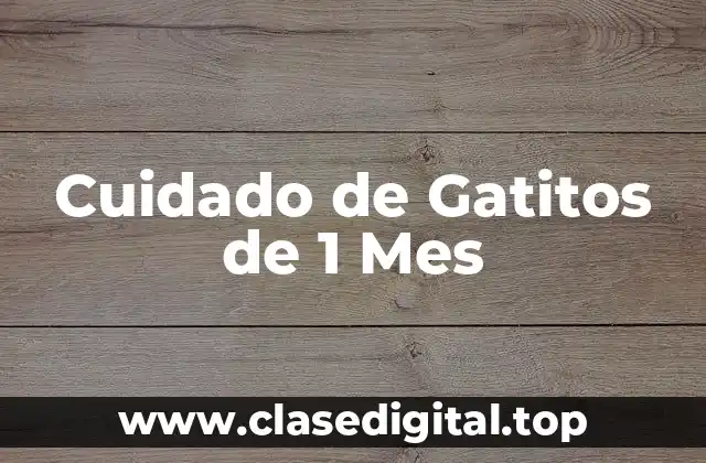 Cuidado de Gatitos de 1 Mes