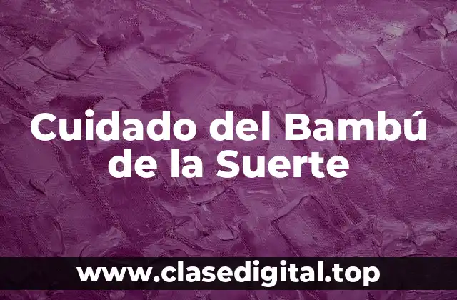 Cuidado del Bambú de la Suerte