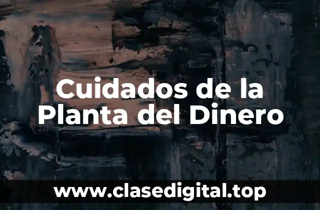 ¿Dónde situar la Planta del Dinero?