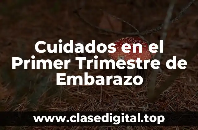 Cuidados en el Primer Trimestre de Embarazo