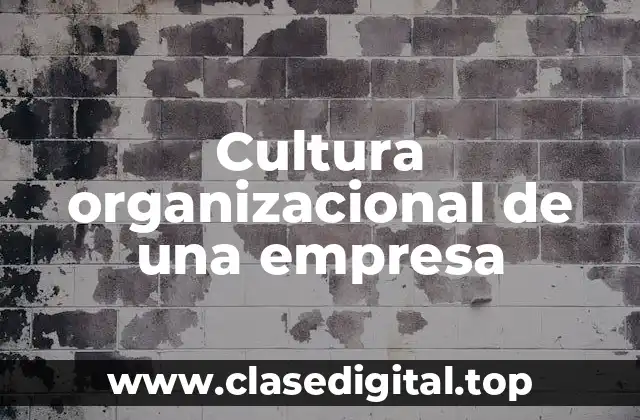 Ejemplos de cultura organizacional de una empresa