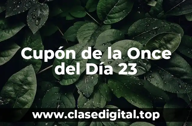 Historia del Cupón de la Once del Día 23