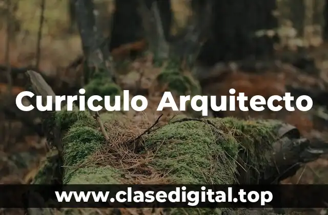 Curriculo Arquitecto