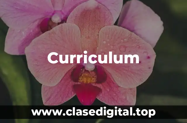 Curriculum