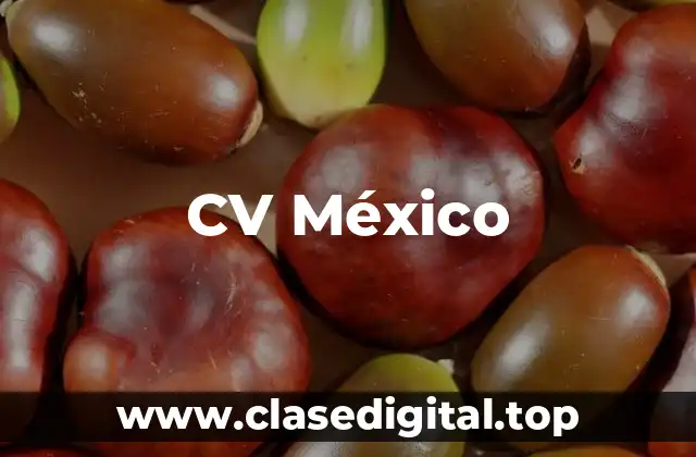 CV México