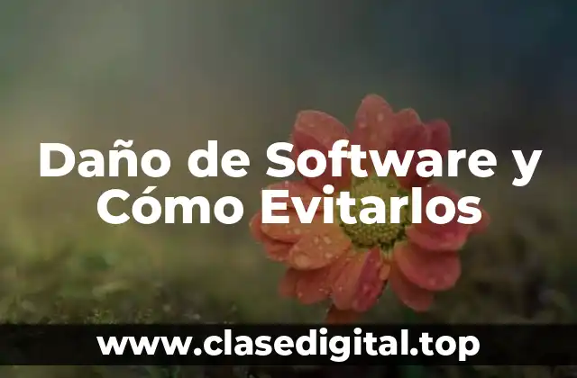 Ejemplos de Daño de Software