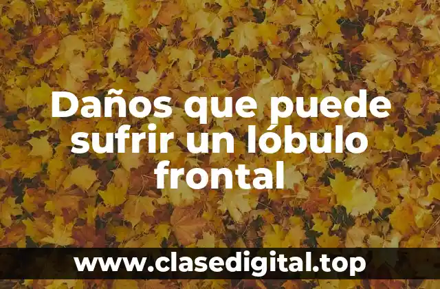 Daños que puede sufrir un lóbulo frontal