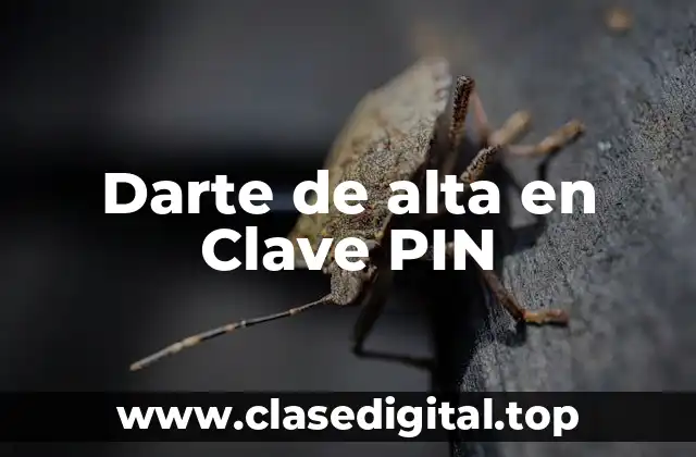 Darte de alta en Clave PIN