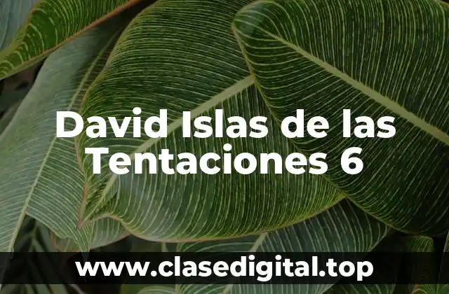 ¿Qué es David Islas de las Tentaciones 6?