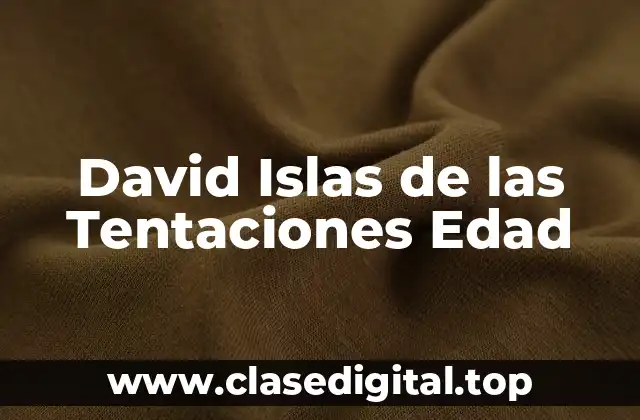Biografía de David Islas