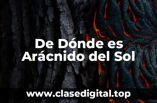 La Diversidad de los Arácnidos del Sol