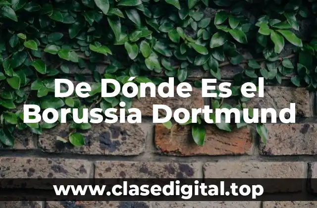 De Dónde Es el Borussia Dortmund