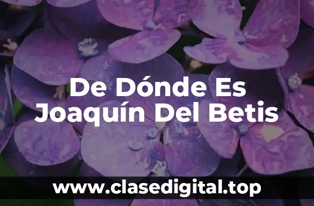 De Dónde Es Joaquín Del Betis