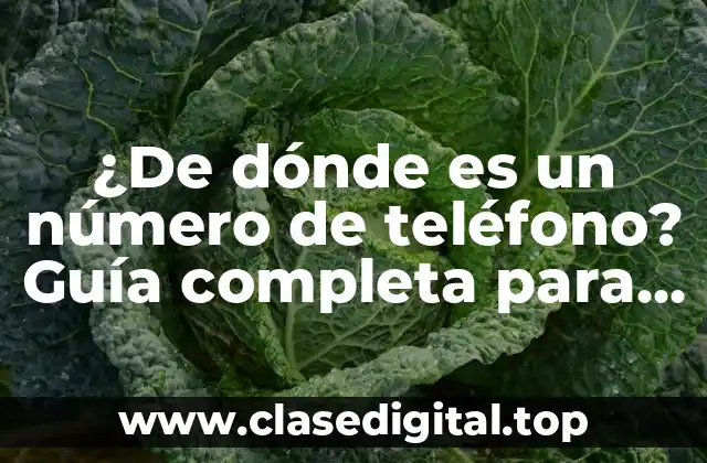 ¿De dónde es un número de teléfono? Guía completa para rastrear números de teléfono