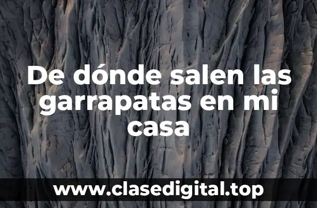 ¿Qué son las Garrapatas y Cómo se Propagan?