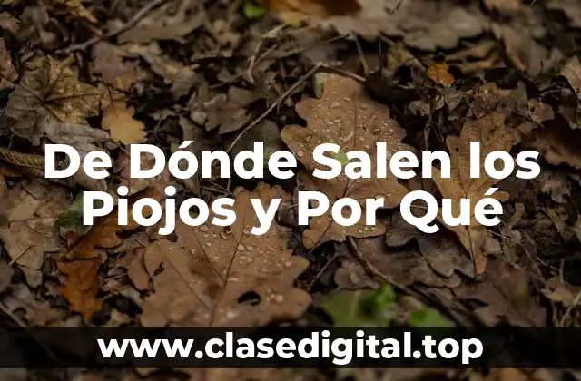 De Dónde Salen los Piojos y Por Qué