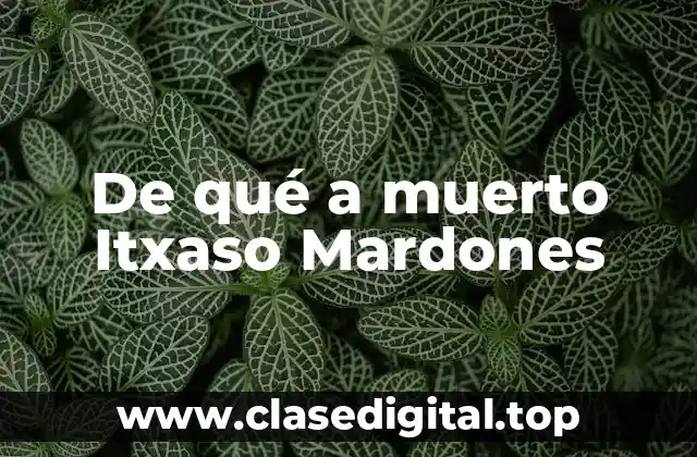 ¿Quién es Itxaso Mardones y por qué se volvió famosa?