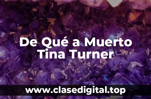 De Qué a Muerto Tina Turner