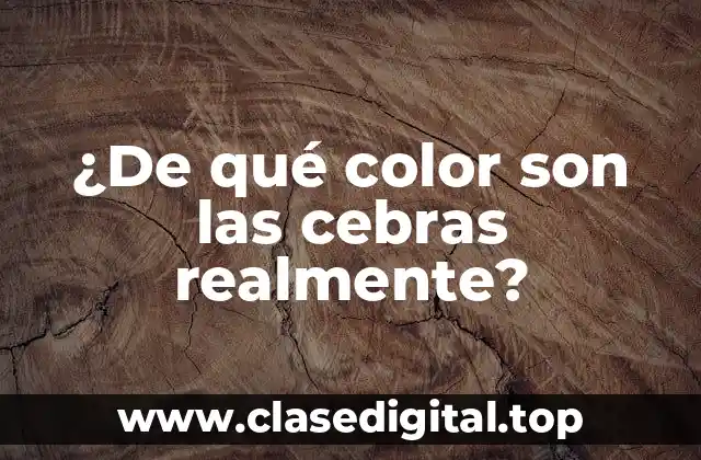 ¿De qué color son las cebras realmente?