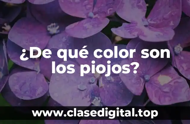 ¿De qué color son los piojos?